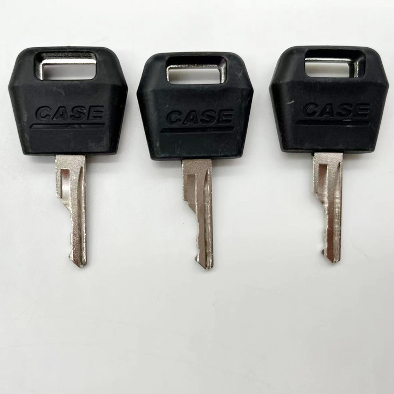 10Pcs high quality ignition D2 - огляд і ціна Heavy Equipment Key Set
